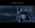 spiderman01.jpg
