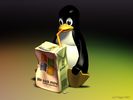 Linux_vs_XP.jpg